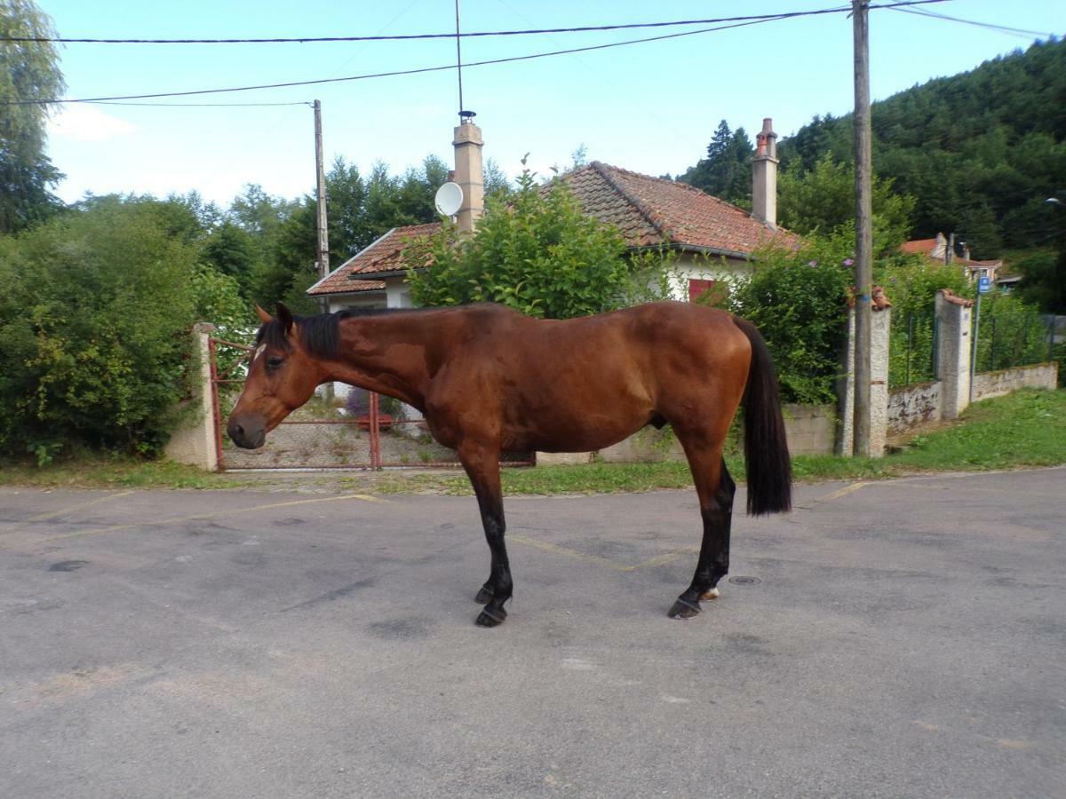 Gite La Méluzine Magny  Extérieur photo